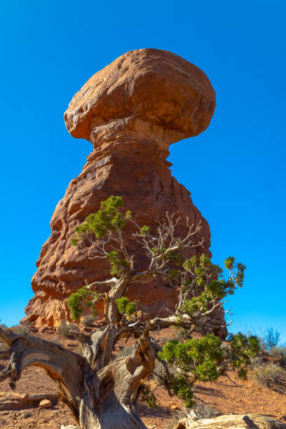 equilibrado roca en el parque nacional de los arcos - travel famous place balanced rock beauty in nature fotografías e imágenes de stock