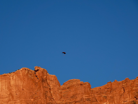 Lone distant paraglider high over Fisher Towers, Utah.