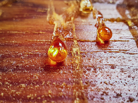 Drops of Resin on the wooden plank. Close up.