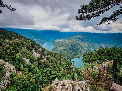 Viewpoint at Tara mountain in National Park, Serbia