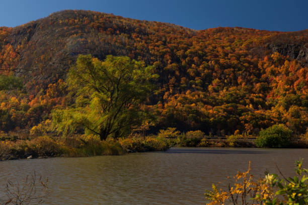 Autumn foliage in Cold Spring New York