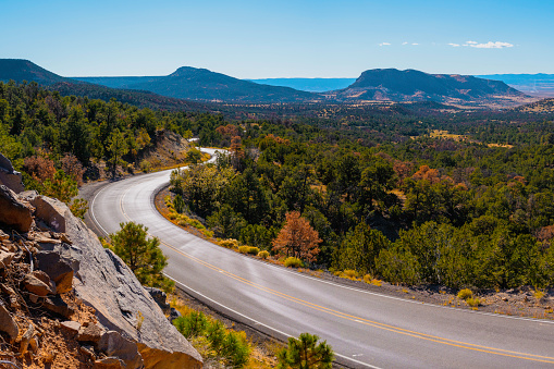 Southwestern road trip autumn landscape in Cibola National Forest in Grants, New Mexico