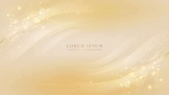 Gold lines elements with bokeh and glitter light effect decoration. Luxury style design background. Vector illustration