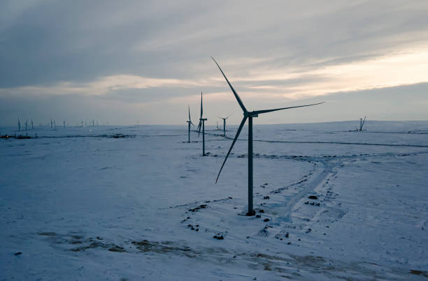 istock Alternative energy sources. Eco-friendly electricity. snow covered fields and wind turbines in dutch polder of flevoland blue sky in winter. top view, aerial view, green energy 1438022883
