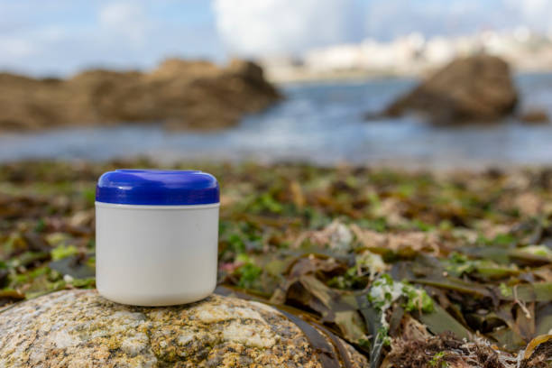 A white jar with a blue lid for the cream stands on a stone among the algae. In the background are water and stones. Ecological compatibility. Cosmetics for the body. Naturalness. Natural product. Natural cosmetics. SPA. Body care. Body cream. Face cream. Mask. Body oil.