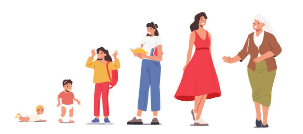Female Character Life Cycle. Woman in Different Ages Newborn Baby, Toddler Child, Teenager, Adult and Elderly Person Female Character Life Cycle. Woman in Different Ages Newborn Baby, Toddler Child, Teenager, Adult and Elderly Person Stand in Row, People Generations, Girl Stages of Grow. Cartoon Vector Illustration teenage girl with grandmother stock illustrations