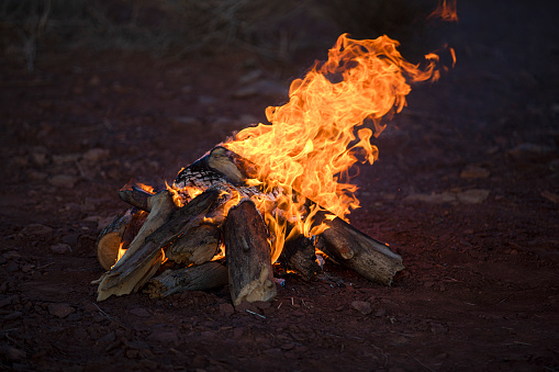 A man kindles a fire in the forest on vacation. Close-up male hand in the process of kindling a fire at a picnic in the forest