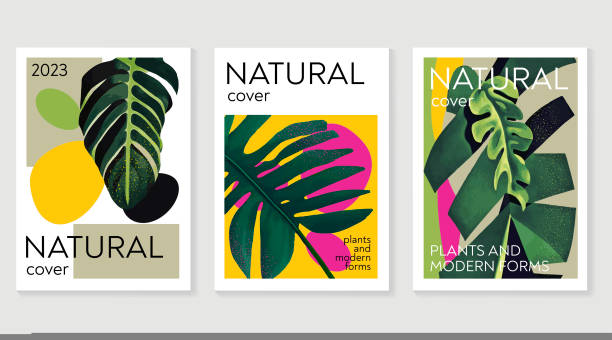 Modern botanical palm mid century magazine cover, leaf banner Palm leaves. Minimal floral line art. Modern abstract background. Trendy design. Pastel color palette. Set of three. Vector illustration. Applicable for flyer, banner,poster, magazine page, card and brochure tropical elegance stock illustrations