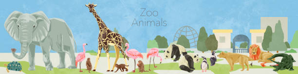 Hand-painted watercolor style illustration frame of zoo animals