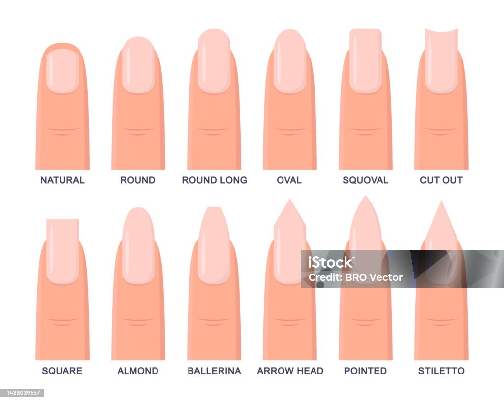Different Nails Different Shapes Of Fingernails Vector Illustrations Set Stock ...