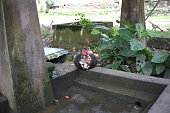 mutter-ente.jpg?b=1&s=170x170&k=20&c=fWt