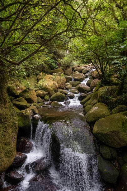 istock Wairere Falls - nature at its best 1438048401
