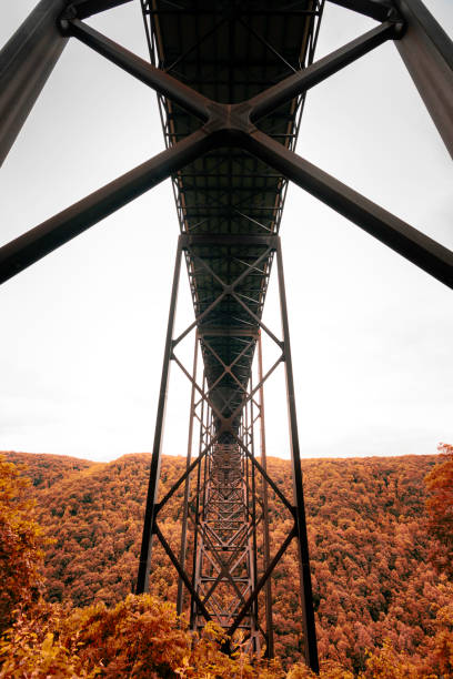 Autumn Splendor at New River Gorge