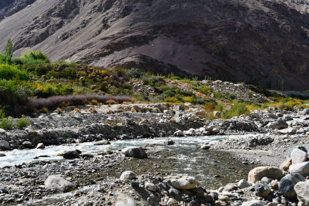 istock Hunder to Tyakshi, Nubra Valley, Ladakh (India) 1438052110