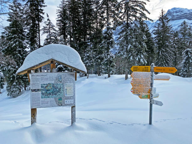istock Hiking markings and orientation signs with signposts for navigating in the idyllic winter ambience of the Alpstein massif in the Swiss Alps - Schwägalp mountain pass, Switzerland (Schweiz) 1438052113