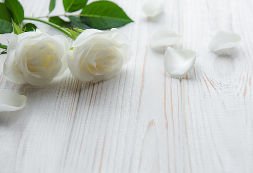 Delicate fresh white roses on the old wooden background