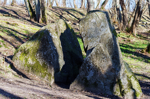 A stone of lies. A huge rock in the woods. A large boulder in the woods. A splintered boulder. Kaliningrad region, coordinates GPS 54.946945, 20.212191.