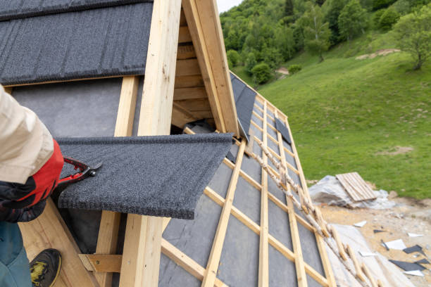 istock Working on tin roof cover 1438066281