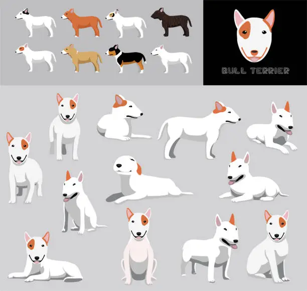 Vector illustration of Dog Bull Terrier Brown Coat Cartoon Vector Illustration Color Variation Set