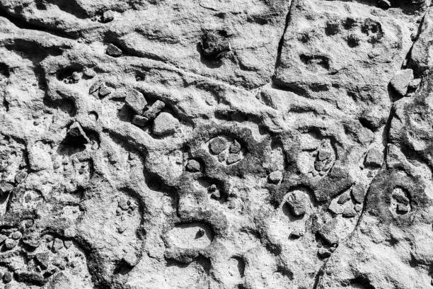 istock Abstract view to the ground in Sinai desert 1438069208