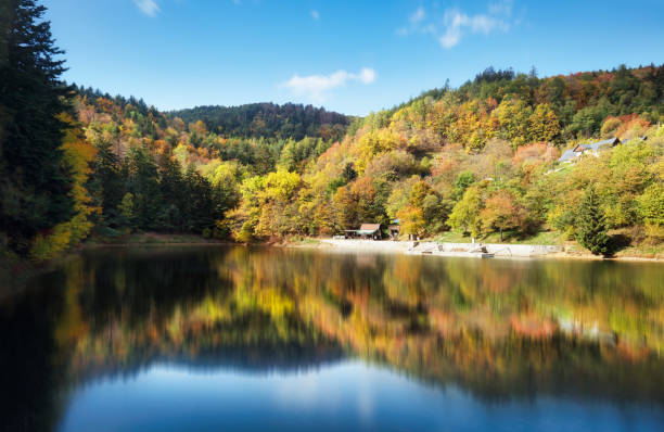 istock Lake with autumn forest reflection in water, Slovakia - Tajch Klinger 1438072577