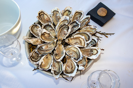 flat plate covered with fresh oysters open on the party table