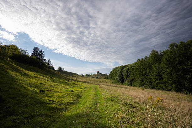 Pidkamin inselberg stone on hill landscape. Ukraine.