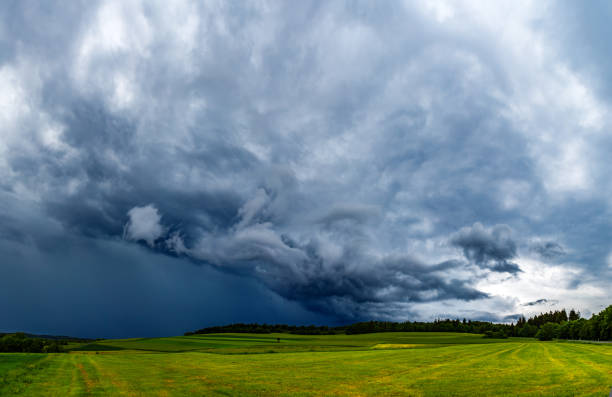 istock Mesmerizing view of fresh green fields under a cloudy sky 1438075961