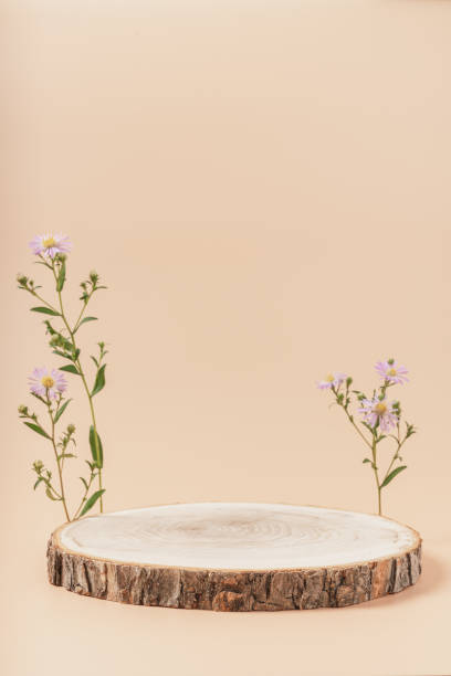 istock Wooden podium with flowers on beige background. 1438078976