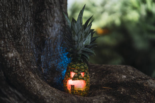 istock Halloween pineapple with a scary face on the roots of a tree 1438080103