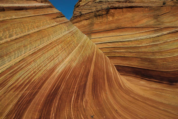 istock Wave sandstone rock formations in Arizona, United States 1438081297