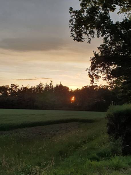 istock Vertical shot of a bright sunset sky over a rural field with trees 1438081349