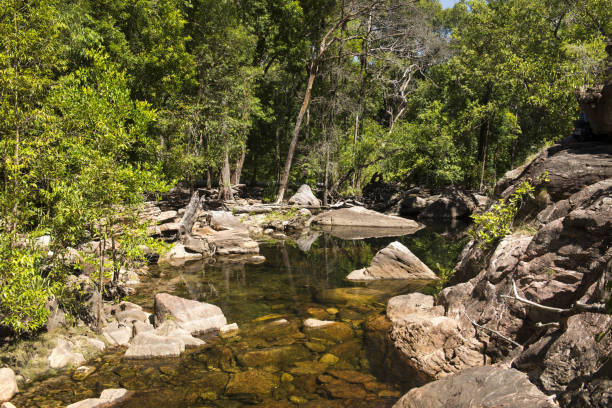 istock Closeup shot of a river and rocks 1438081442