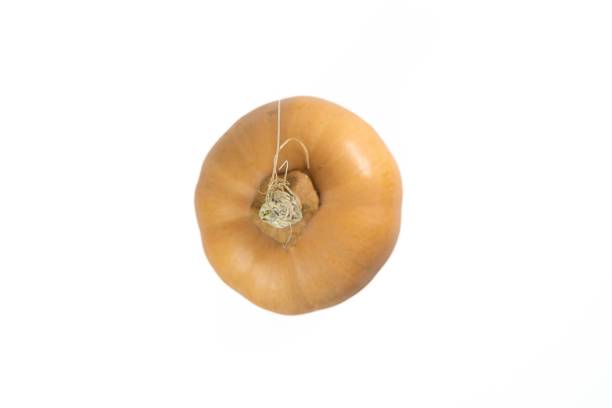 istock Top view of a butternut pumpkin isolated on a white background 1438081700