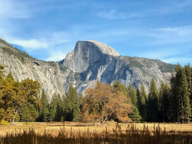 istock Half-Granite dome surrounded by green trees in California 1438081851