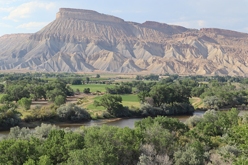 the Grand Mesa with the Colorado River running through a lush valley in Grand Junction, Colorado
