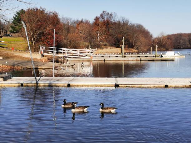 istock Bridge on a river to serve as massage while there docks floating on the river 1438082206