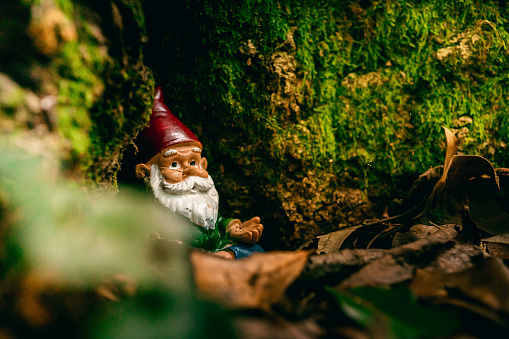 A colourful little gnome in the garden