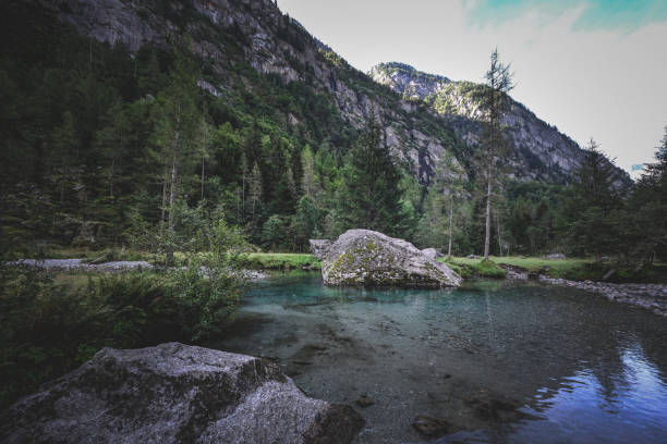 istock Closeup shot of a lake 1438083127