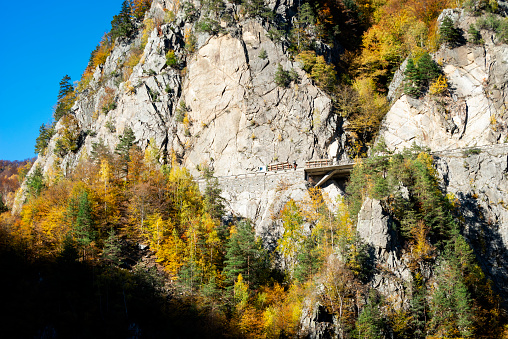 Road, high in Carpathian Mountains. Romania, Europe.