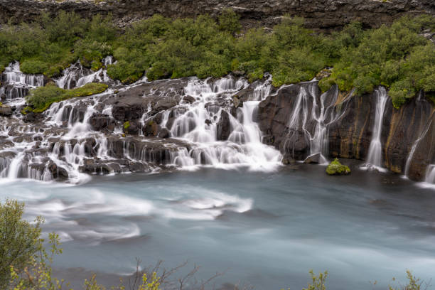 Hraunfossar waterfalls surrounded by greenery at daytime in Iceland The Hraunfossar waterfalls surrounded by greenery at daytime in Iceland hraunfossar stock pictures, royalty-free photos & images