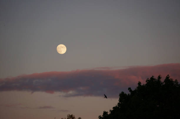 istock Beautiful shot of a full moon 1438086310