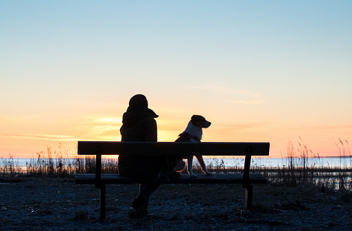 Silhouette portrait of woman and her dog sitting on the bench in the beach and enjoying the setting sun on the sea