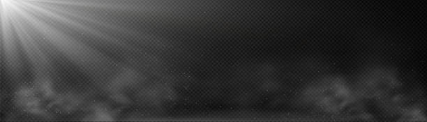 Overlay effect of white light ray, fog and dust Overlay effect of white light ray, fog and dust isolated on transparent background. Vector realistic background with sunlight or lamp beams, clouds of smoke or mist and flying particles solar street lights stock illustrations