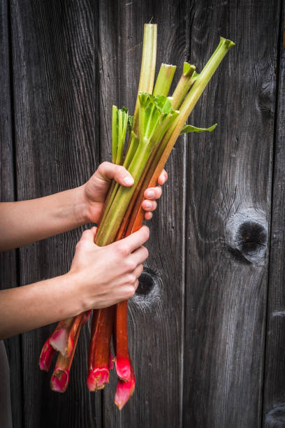 Two female hands holding rhubarb, wooden background, vertical