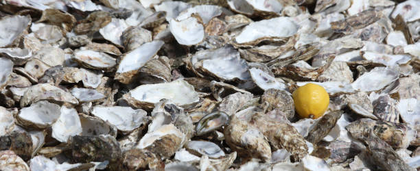 istock oyster shells thrown by tourists after eating them and a yellow 1438092501