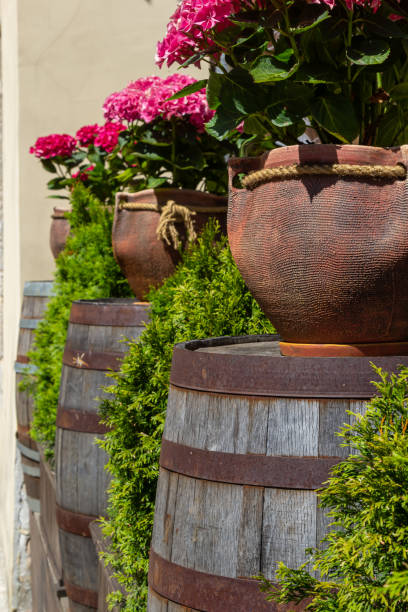 istock Terracotta flower pots with autumn fall composition with chrysanthemums and heather in the backyard 1438095183