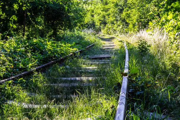 Photo of contrast rusty train railway in green grass overgrown