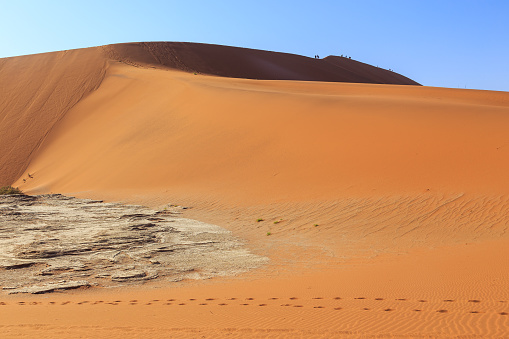 Young man with backpack walking at the remote desert during bright sunny sunrise exploring the dramatic valley with the dead trees and the dry lake at Namib-Naukluft National Park