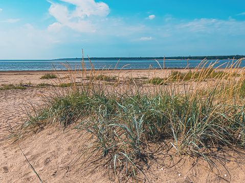 Vastra Stranden or Western Beach in town of Halmstad in Sweden in summer with Kattegat sea strait in background
